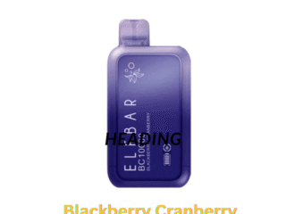 ElfBar10000PuffsDisposableVapeblackberrycranberry_1024x.png