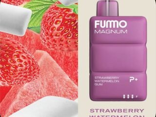 FUMMO-Magnum-8000-Puffs-Strrawberry-Watermelon-Gum-VAPEKINGDUBAI.jpg