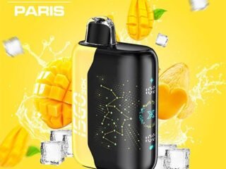 ISGO-Paris-X-30000-Puffs-Disposable-Vape-mango-ice-VAPEKINGDUBAI.jpg