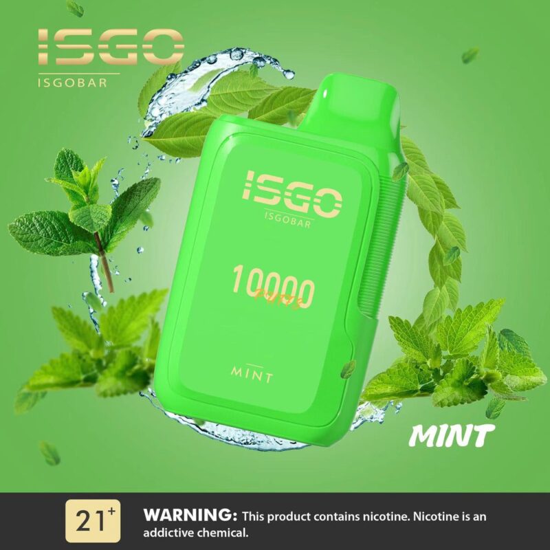 MINT_1e4156c8-510f-4487-8124-7f257209cdcf_1024x.jpg