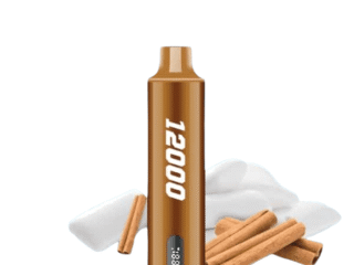 SMOOTHWHALE12000PUFFSDISPOSABLEVAPEUAECinnamonchewinggum_1024x.png