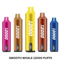 SMOOTHWHALE12000PUFFSDISPOSABLEVAPEUAE_1024x.png