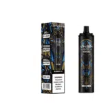 VNSN Quake 10000 puffs Blueberry Ice disposable vape with box