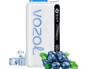 VozolStar12000PuffsDisposableVapeBlueRazzIce_1024x.png