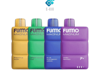 FUMMO Magnum 8000 Puffs Disposable Vape in UAE