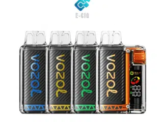 VOZOL Vista 20000 Puffs Disposable Vape 4 different flavor