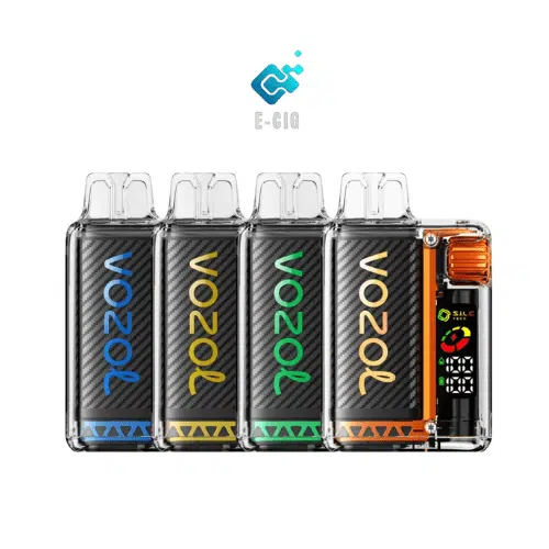 VOZOL Vista 20000 Puffs Disposable Vape 4 different flavor