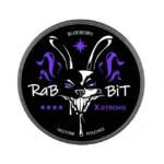 rabbit-blueberry.webp