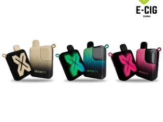 Pod Salt Nexus 12000 puffs disposable vape – E-Cig Dubai