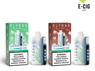 Elf Bar Ice King 30000 puffs disposable vape – E-Cig Dubai