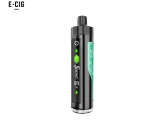 Pod Salt Shisha 3mg/ml-8000 Puffs