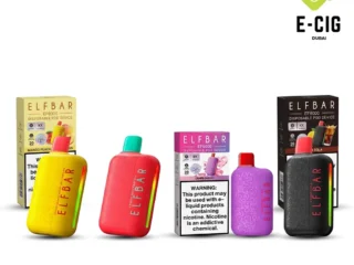 Elfbar EP8000 20mg 8000 puffs disposable vape – E-Cig Dubai