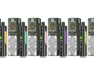 Pod Salt Shisha 8000 puffs disposable vape – E-Cig Dubai
