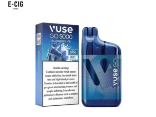 Vuse Go Blueberry Ice 20mg/ml-5000 puffs