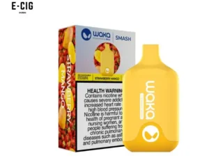 Waka Smash 18mg 5500 puffs Strawberry Mango rechargeable disposable vape