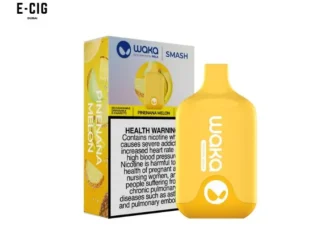 Waka Smash Pinenana Melon 5500 Puffs Disposable Vape 18mg/ml