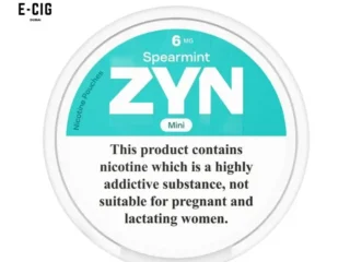 Zyn Mini Spearmint