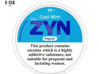 Zyn Regular Cool Mint