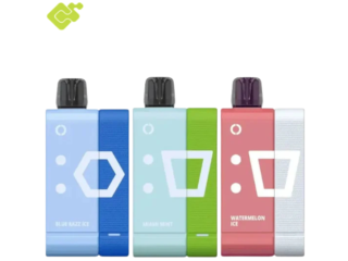 Elf Bar EW9000 Prefilled Pod Kit