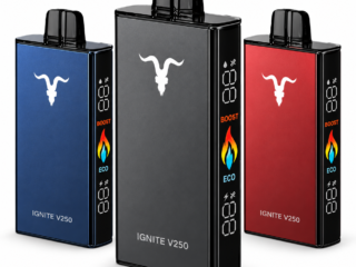 IGNITE V250 25000 50mg disposable vape devices on white background