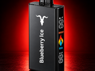 IGNITE V250 25000 puff disposable vape