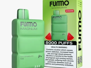 Buy FUMMO Magnum 8000 Puffs