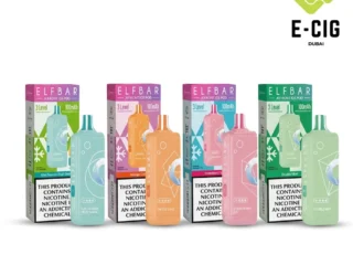 Elf Bar JoinOne Ice 25000 puffs disposable vape – E-Cig Dubai