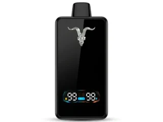 Ignite V155 15500 Puffs Disposable Vape Dubai
