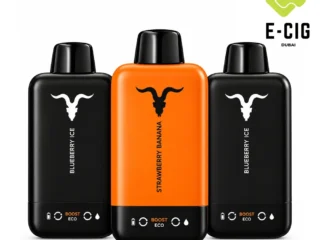 Ignite V155 15500 Puffs Disposable Vape Dubai