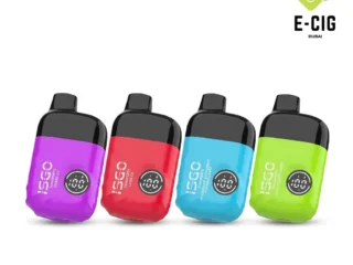 ISGO Vegas 14000 puffs disposable vape – E-Cig Dubai