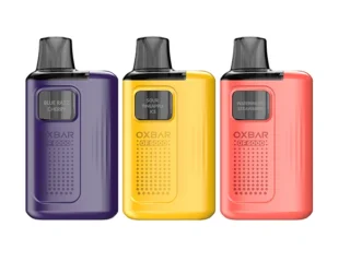 Oxbar Rovota 60k Puffs 6Mg Shisha Disposable Vape